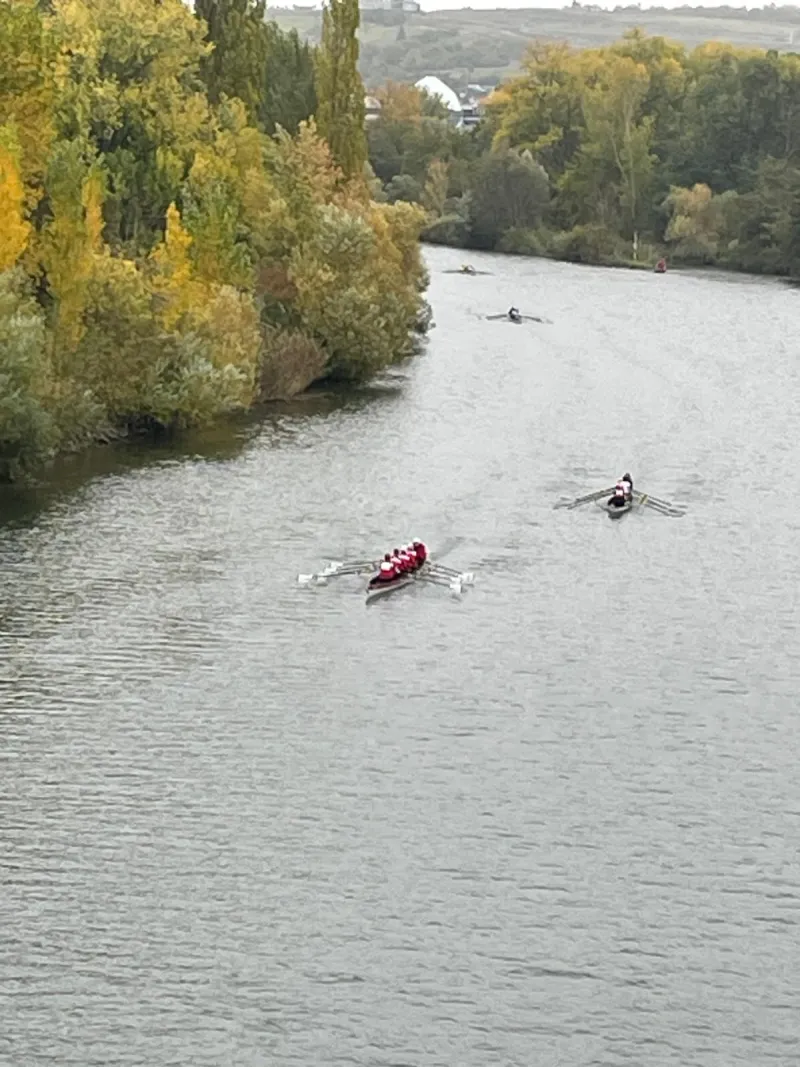 Der Frauen-Doppelvierer vor gelbem Herbstlaub am Ufer
