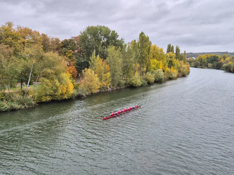 Der Doppelachter am herbstlichen Mainufer