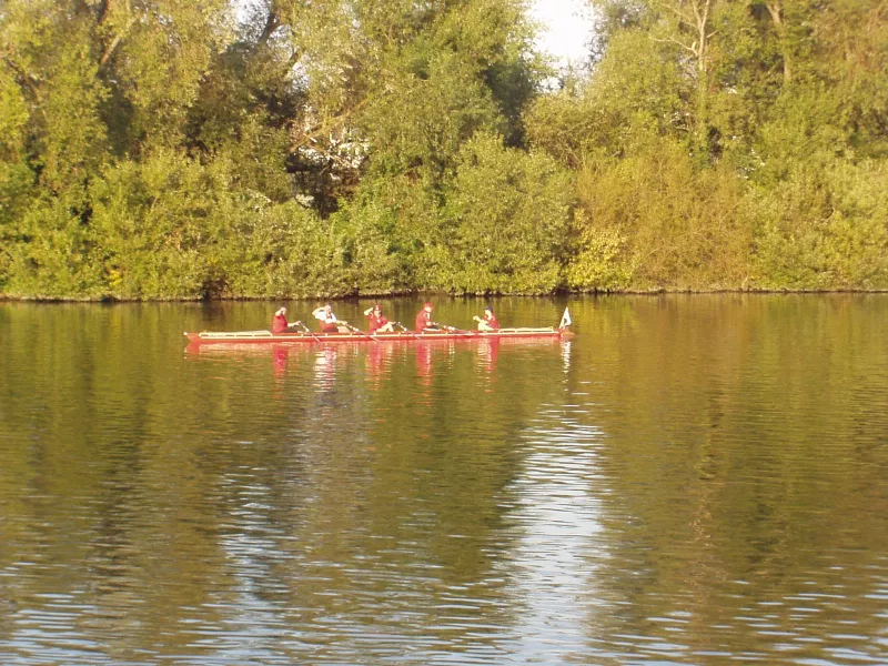 Ruderboot der FRGS mit Mannschaft auf dem Main vor bewaldetem Ufer im Abendlicht