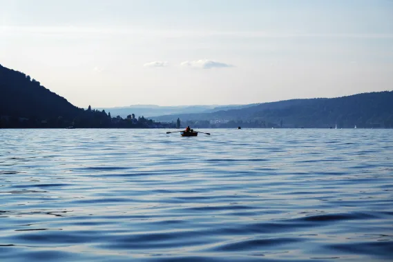 Ruderboote der FRGS auf dem Bodensee 2020